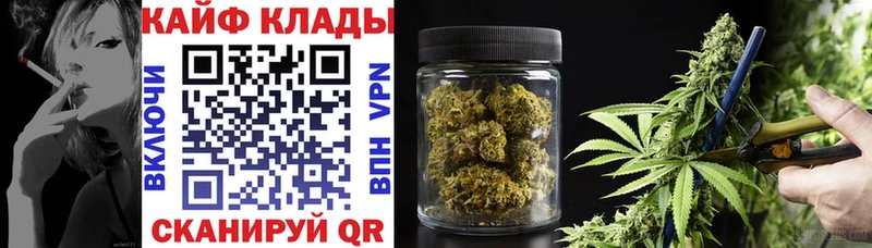 Где найти наркотики Тайга Галлюциногенные грибы  Кокаин  KRAKEN маркетплейс  Бошки Шишки  Гашиш 