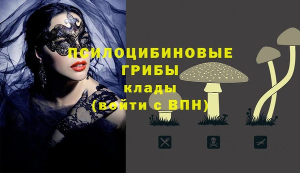амф Няндома