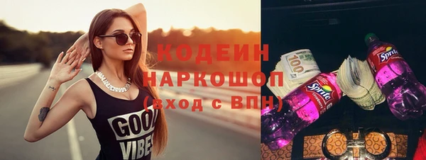 амф Няндома