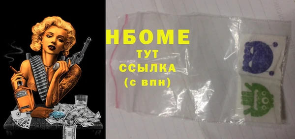 амф Няндома