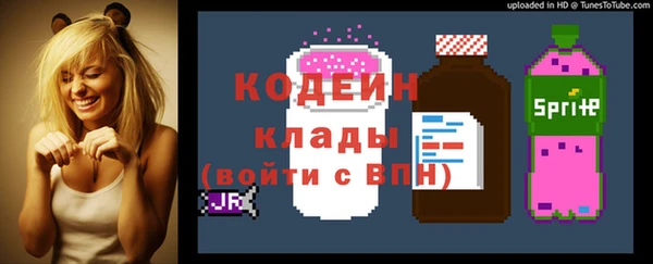 амф Няндома