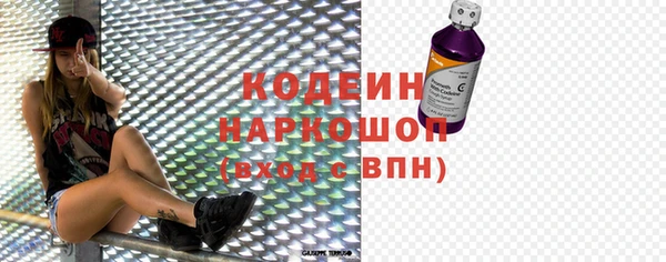 амф Няндома