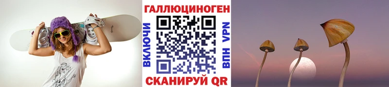 Псилоцибиновые грибы MAGIC MUSHROOMS  Тайга 